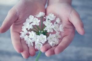 Newsletter En Vie ! 🌿 En Vie !  de relations vivantes