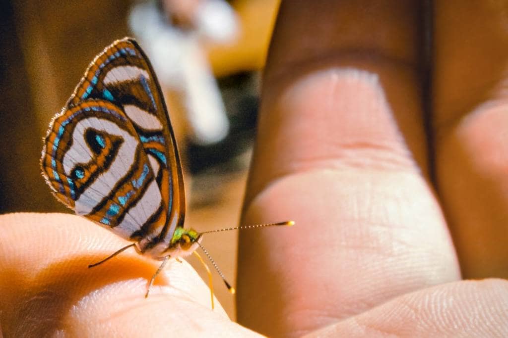 Vivre le changement en gardant ses valeurs
