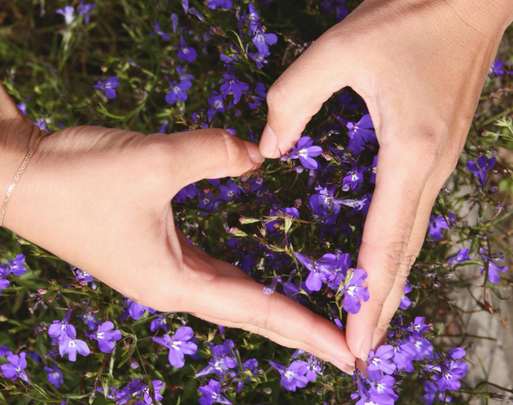 Newsletter En Vie ! 🌿 d’intensité
