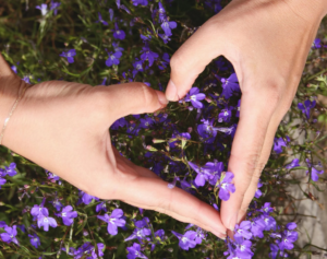 Newsletter En Vie ! 🌿 de rester Vivant